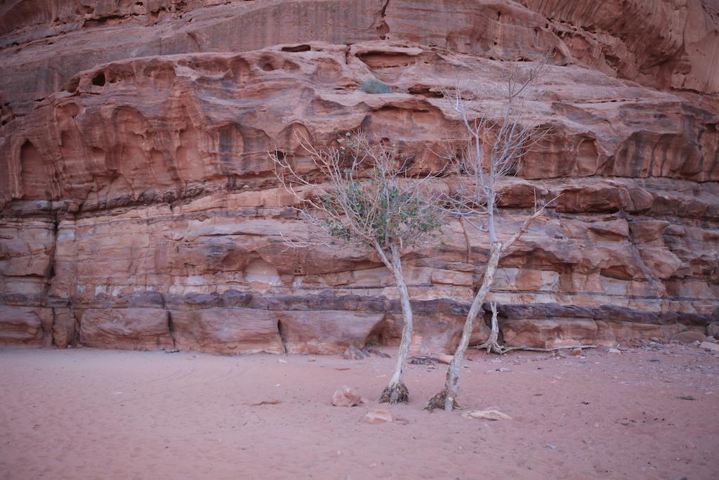 Bedouin Expedition Ουάντι Ραμ Εξωτερικό φωτογραφία