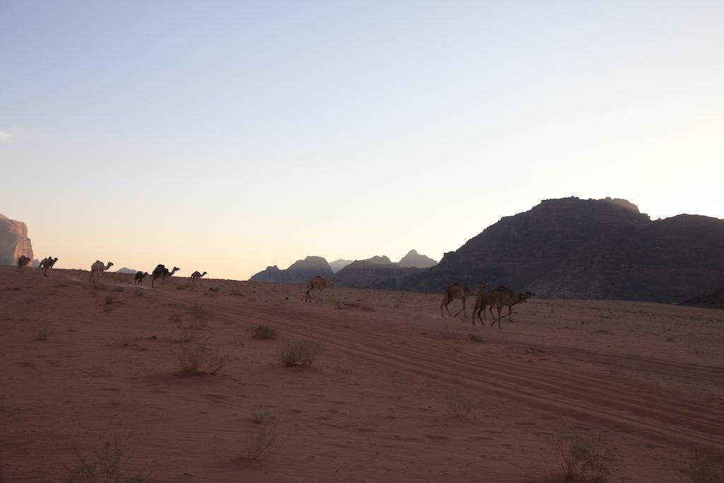 Bedouin Expedition Ουάντι Ραμ Εξωτερικό φωτογραφία