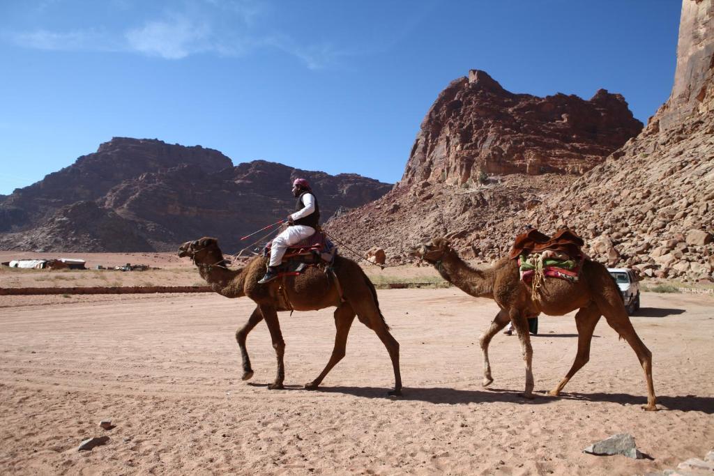 Bedouin Expedition Ουάντι Ραμ Εξωτερικό φωτογραφία