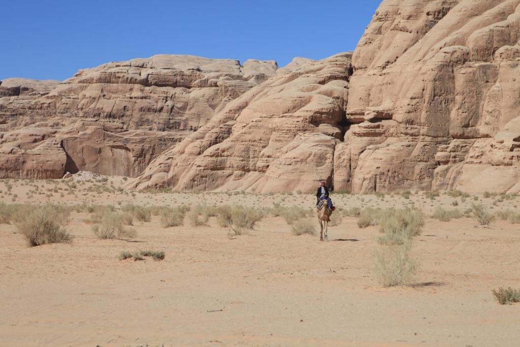 Bedouin Expedition Ουάντι Ραμ Εξωτερικό φωτογραφία