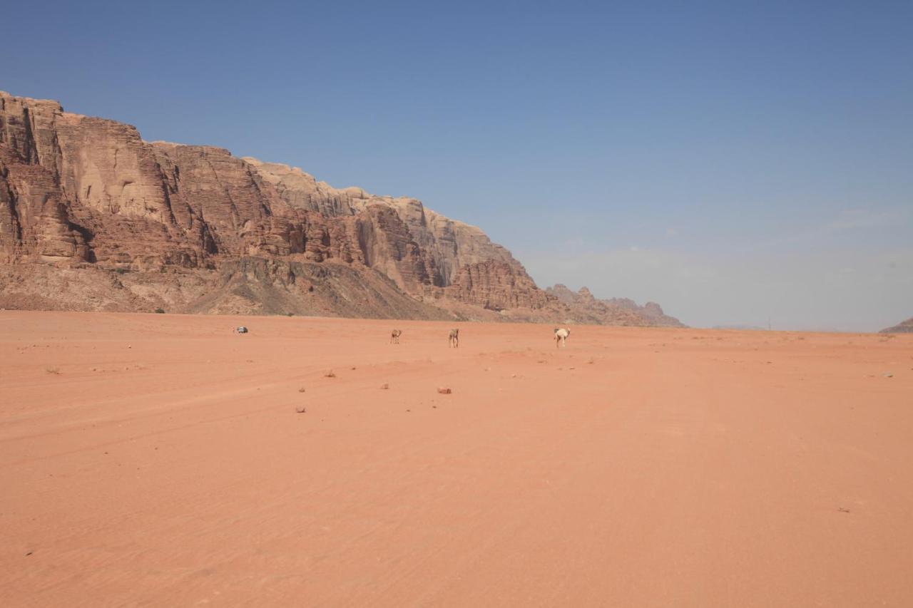 Bedouin Expedition Ουάντι Ραμ Εξωτερικό φωτογραφία